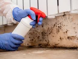 Professional Mold Removal & Remediation in Troy, TN